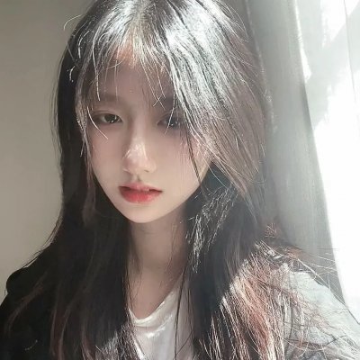 影子军队